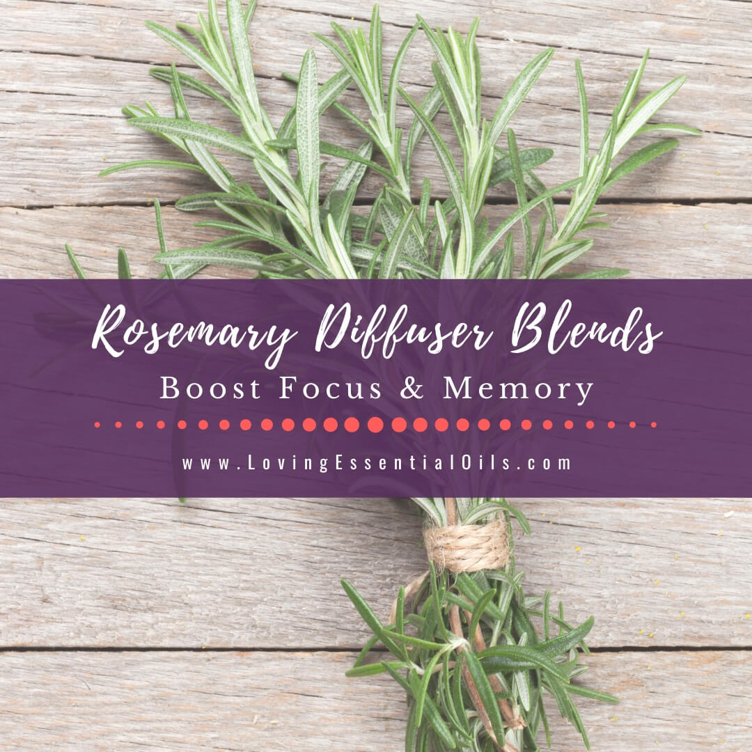 Rosemary Diffuser Blends - 10 Refreshing Essential Oil Recipes