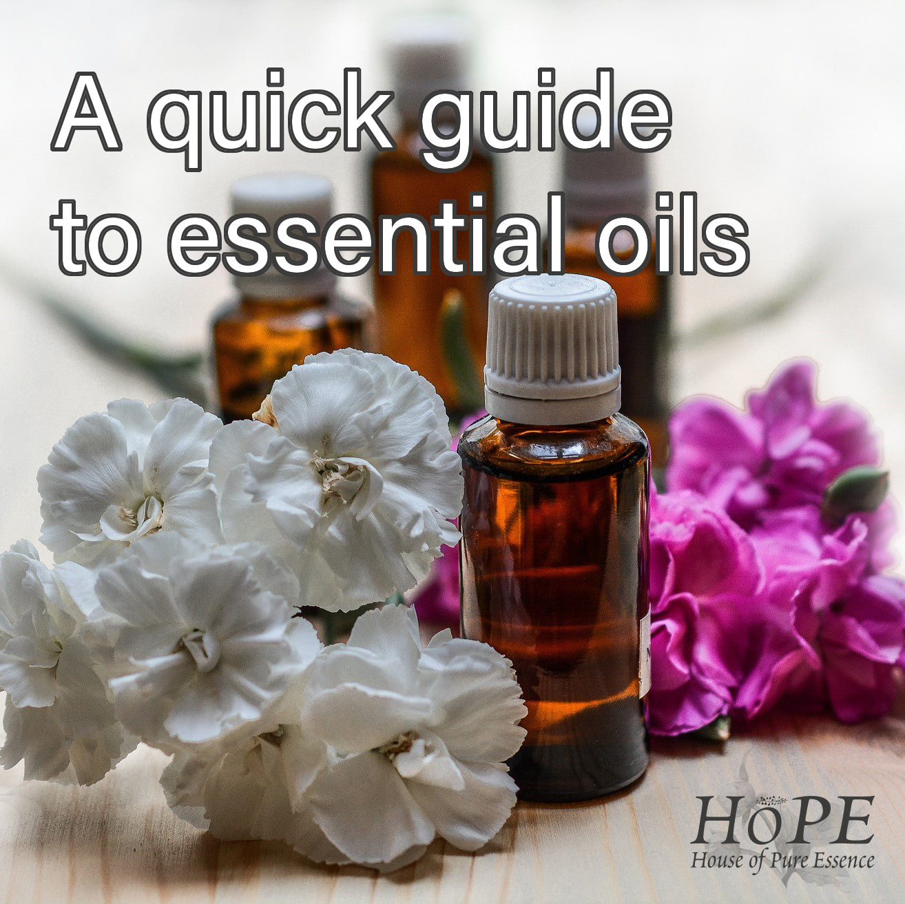 A Quick Guide to Essential Oils - House of Pure Essence (HoPE)