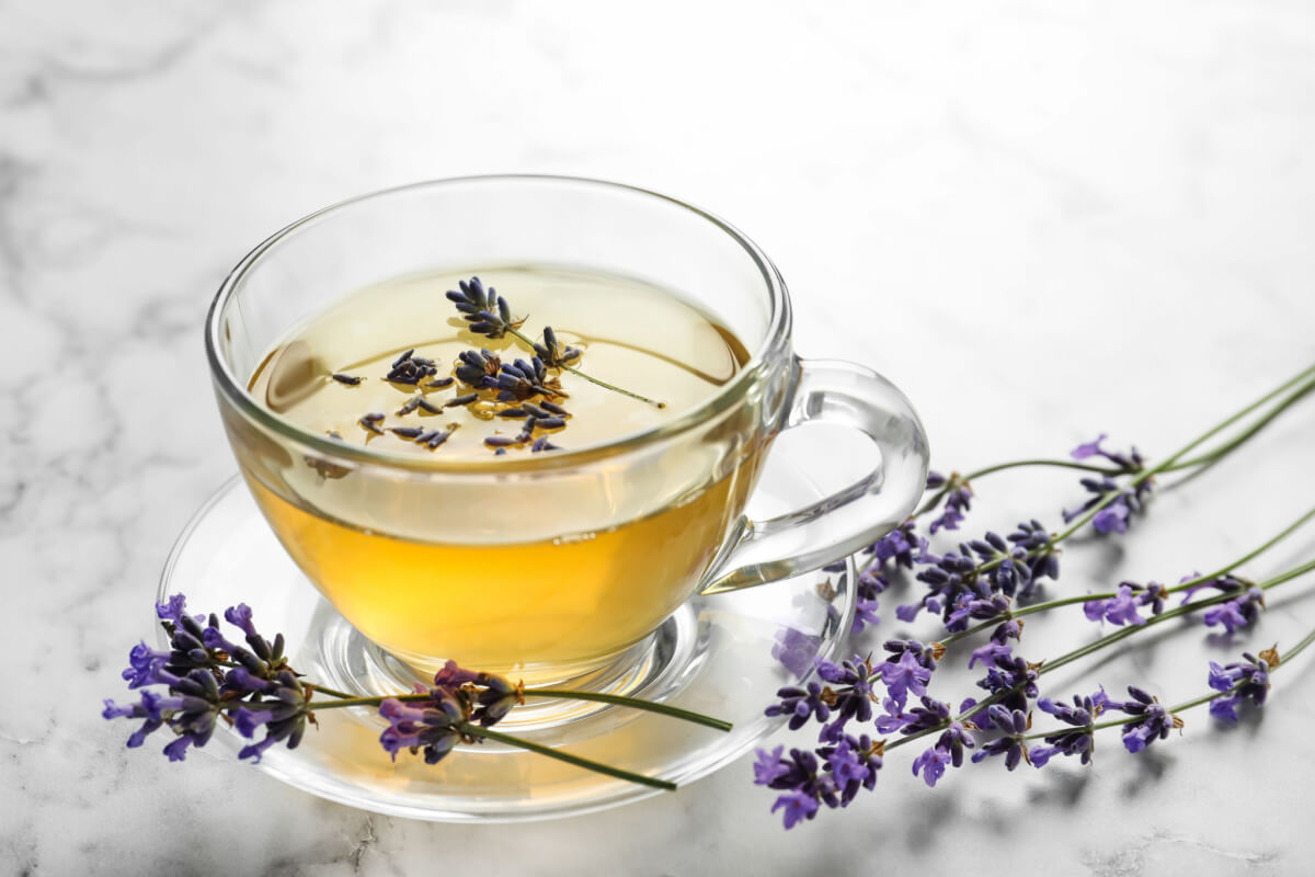 Lavender Tea Benefits, Uses, and More | Fullscript